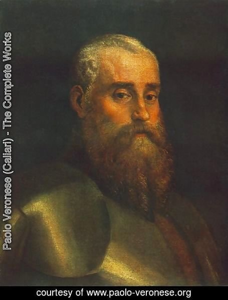 Paolo Veronese (Caliari) - Portrait of Agostino Barbarigo