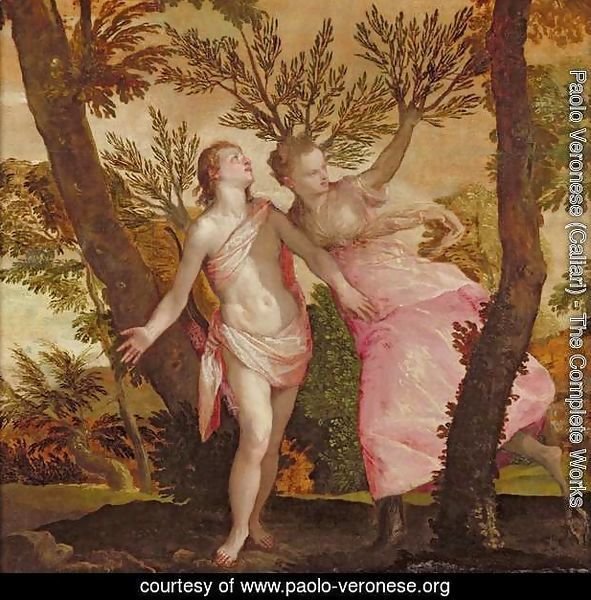 Apollo and Daphne, c.1565-70