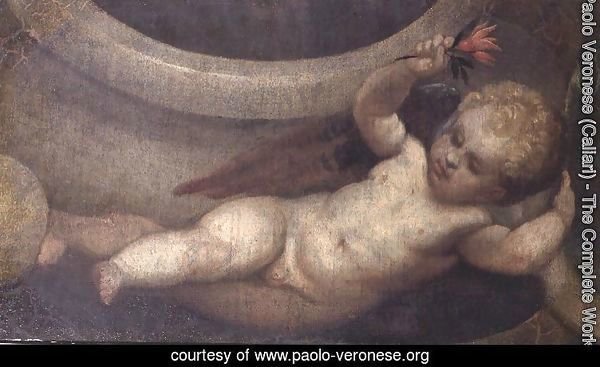 Putto with a red flower