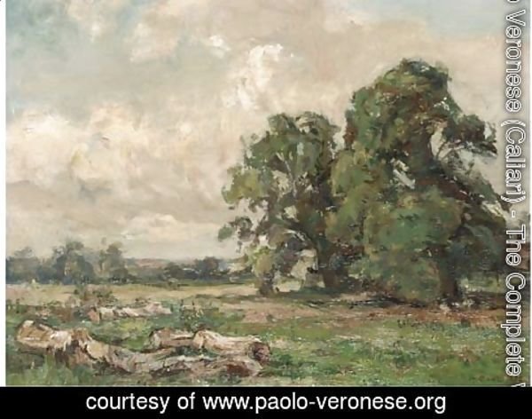 Paolo Veronese (Caliari) - Across the meadow